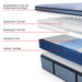 Sealy Paterson II Spring Mattress - Massey's Furniture Barn (Watertown, NY) 