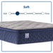 Sealy Garden Hills Spring Mattress - Massey's Furniture Barn (Watertown, NY) 