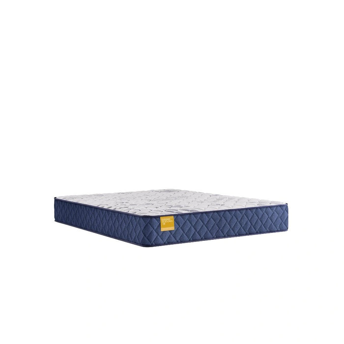 Palace Park Innerspring Mattress - Massey's Furniture Barn (Watertown, NY) 