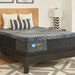 Albany Foam Mattress - Massey's Furniture Barn (Watertown, NY) 