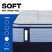 Sealy Paterson II Spring Mattress - Massey's Furniture Barn (Watertown, NY) 