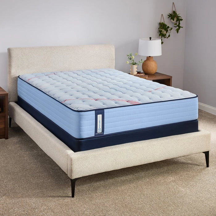 Dudley Spring Mattress - Massey's Furniture Barn (Watertown, NY) 