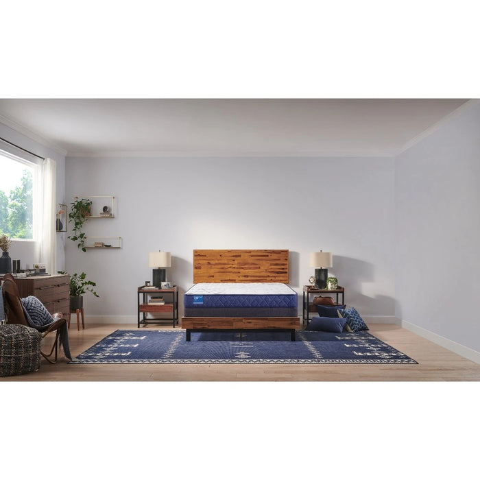 Sealy Resting Manor Foam Mattress - Massey's Furniture Barn (Watertown, NY) 