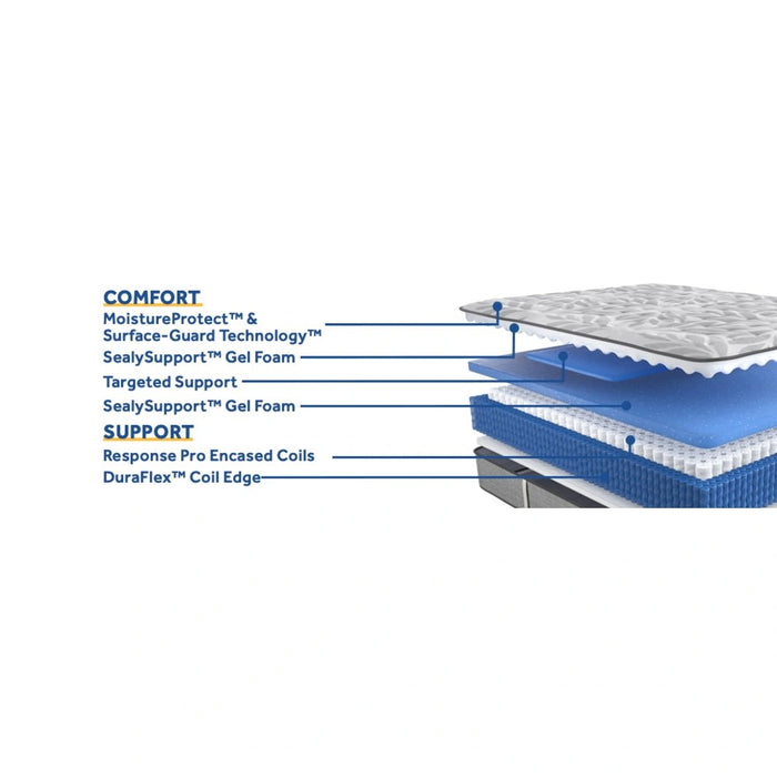 Lavina II Innerspring Mattress - Massey's Furniture Barn (Watertown, NY) 