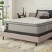 Lavina II Innerspring Mattress - Massey's Furniture Barn (Watertown, NY) 