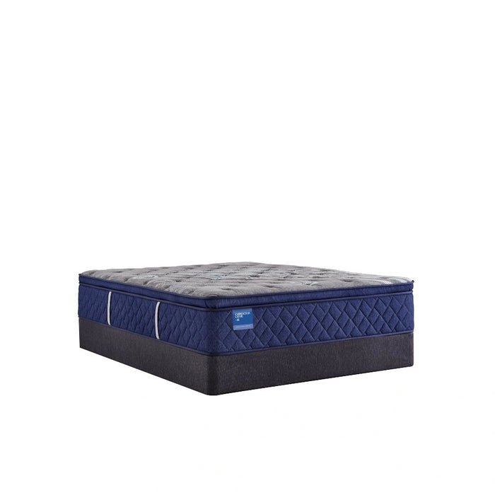 Sealy Midnight Cove Innerspring Mattress - Massey's Furniture Barn (Watertown, NY) 