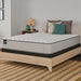 Halliday II Innerspring Mattress - Massey's Furniture Barn (Watertown, NY) 