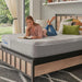 Brightwell Hybrid Mattress - Massey's Furniture Barn (Watertown, NY) 