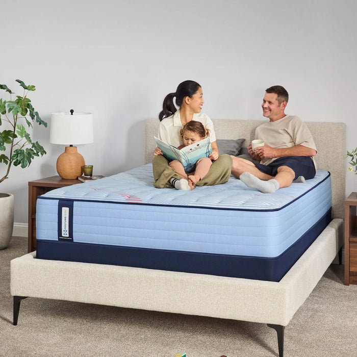 Dudley Spring Mattress - Massey's Furniture Barn (Watertown, NY) 