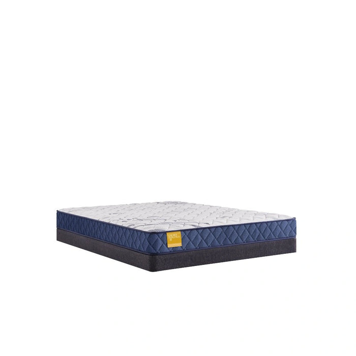 Sealy Erie Foam Mattress - Massey's Furniture Barn (Watertown, NY) 