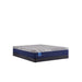 Sealy Pacific Rest Hybrid Mattress - Massey's Furniture Barn (Watertown, NY) 