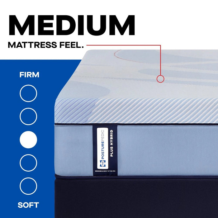Sealy Paterson II Hybrid Mattress - Massey's Furniture Barn (Watertown, NY) 