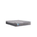 Delacroix Hybrid Mattress - Massey's Furniture Barn (Watertown, NY) 