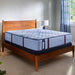 Sealy Dupont II Spring Mattress - Massey's Furniture Barn (Watertown, NY) 