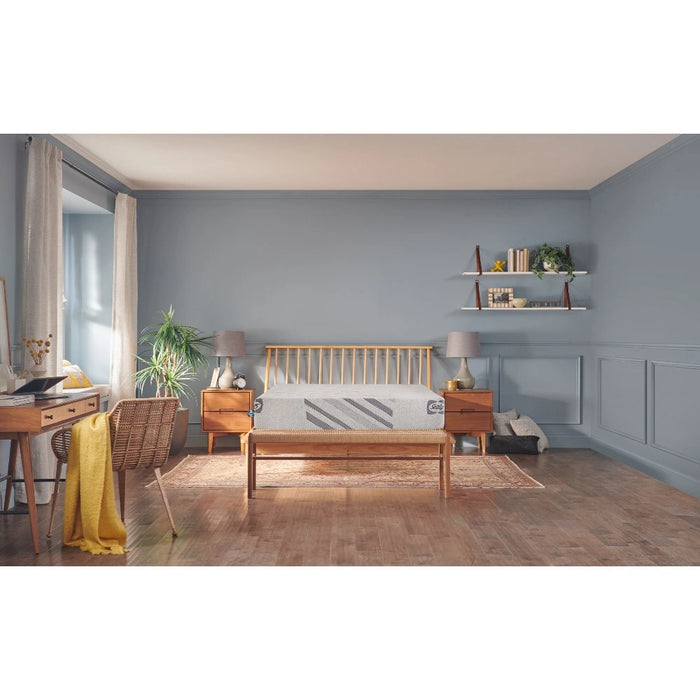Palace Park Foam Mattress - Massey's Furniture Barn (Watertown, NY) 