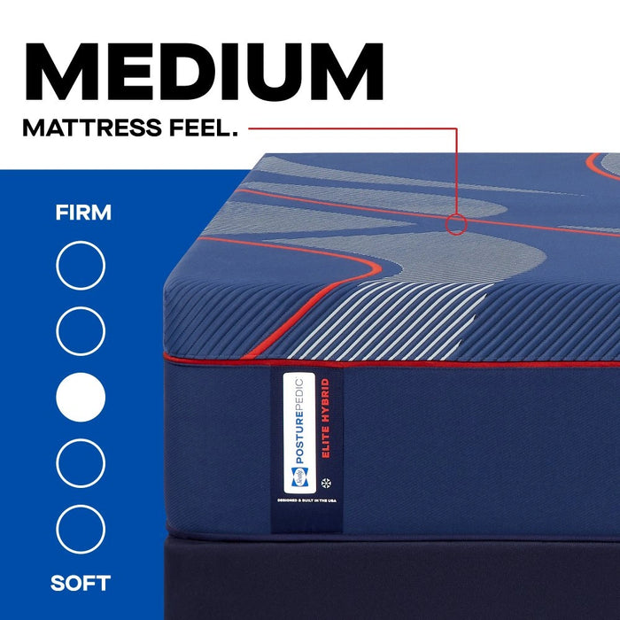Sealy Albany II Hybrid Mattress - Massey's Furniture Barn (Watertown, NY) 