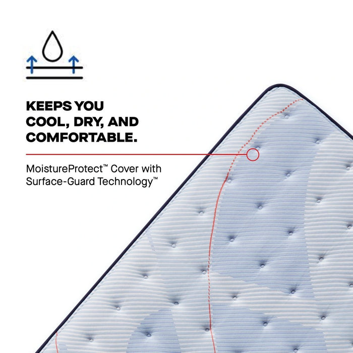Plainfield Mattress - Massey's Furniture Barn (Watertown, NY) 