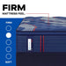 Sealy Brenham II Spring Mattress - Massey's Furniture Barn (Watertown, NY) 