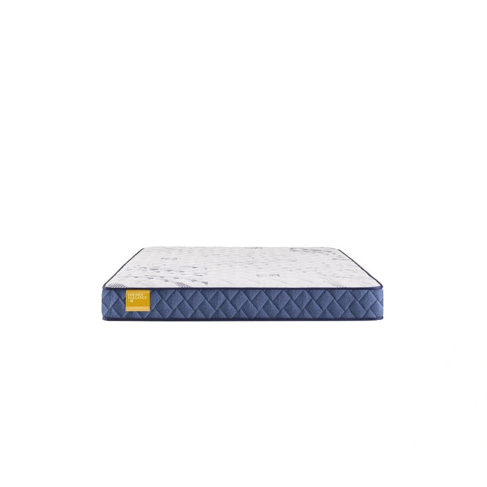 Sealy Erie Foam Mattress - Massey's Furniture Barn (Watertown, NY) 