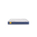 Sealy Erie Foam Mattress - Massey's Furniture Barn (Watertown, NY) 