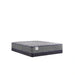 Sealy Refine Innerspring Mattress - Massey's Furniture Barn (Watertown, NY) 