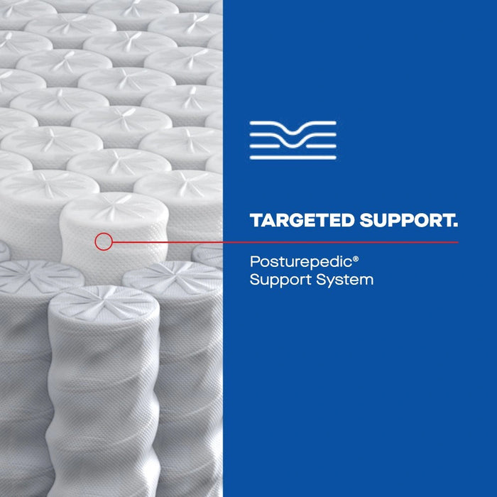 Fayette Hybrid Mattress - Massey's Furniture Barn (Watertown, NY) 