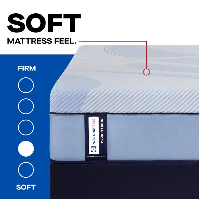 Equus Hybrid Mattress - Massey's Furniture Barn (Watertown, NY) 