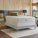 Sealy® Naturals™ Hybrid Mattress - Massey's Furniture Barn (Watertown, NY) 