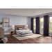 Sealy Lane Foam Mattress - Massey's Furniture Barn (Watertown, NY) 