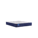 Sealy Murry Hill Innerspring Mattress - Massey's Furniture Barn (Watertown, NY) 