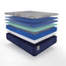 Sealy Benedict Hybrid Mattress - Massey's Furniture Barn (Watertown, NY) 