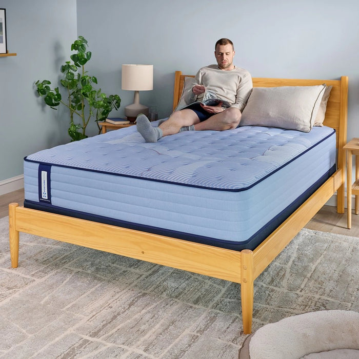 Jace Spring Mattress - Massey's Furniture Barn (Watertown, NY) 