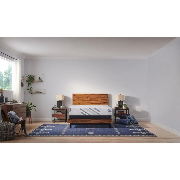 Sealy Murry Hill Foam Mattress - Massey's Furniture Barn (Watertown, NY) 