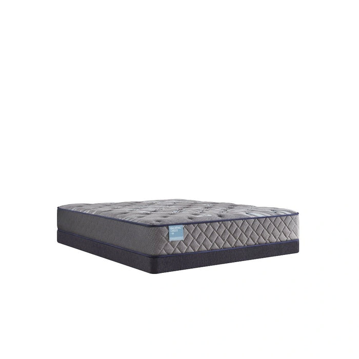 Sealy Remey Innerspring Mattress - Massey's Furniture Barn (Watertown, NY) 