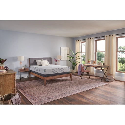 Sealy Second & Park Foam Mattress - Massey's Furniture Barn (Watertown, NY) 