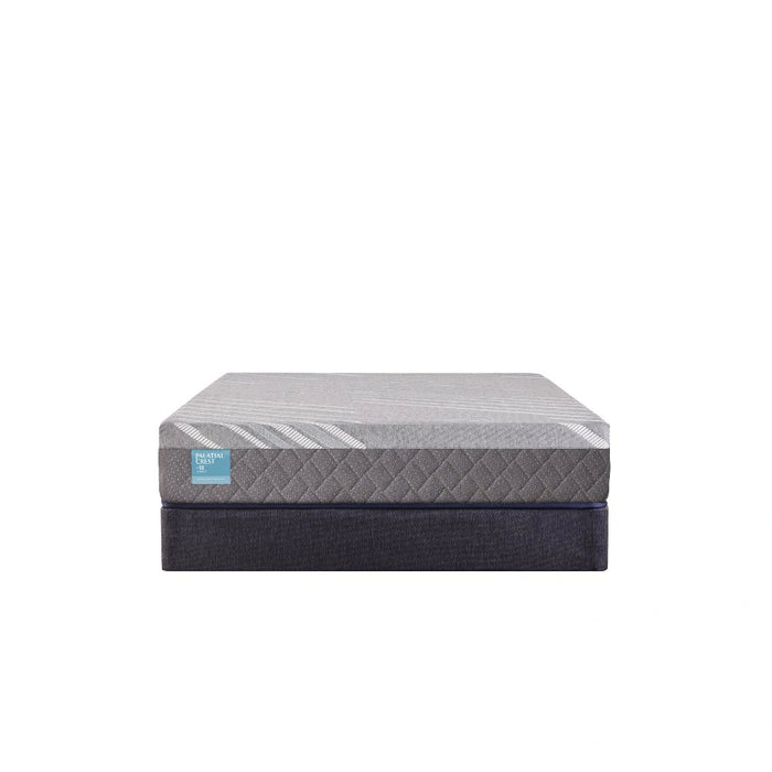 Delacroix Hybrid Mattress - Massey's Furniture Barn (Watertown, NY) 