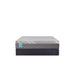 Delacroix Hybrid Mattress - Massey's Furniture Barn (Watertown, NY) 