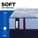 Sealy Dupont II Spring Mattress - Massey's Furniture Barn (Watertown, NY) 
