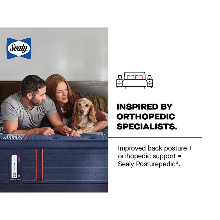 Sealy Albany II Spring Mattress - Massey's Furniture Barn (Watertown, NY) 