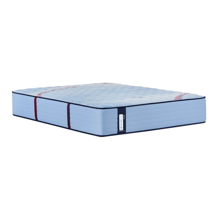 Equus Spring Mattress - Massey's Furniture Barn (Watertown, NY) 