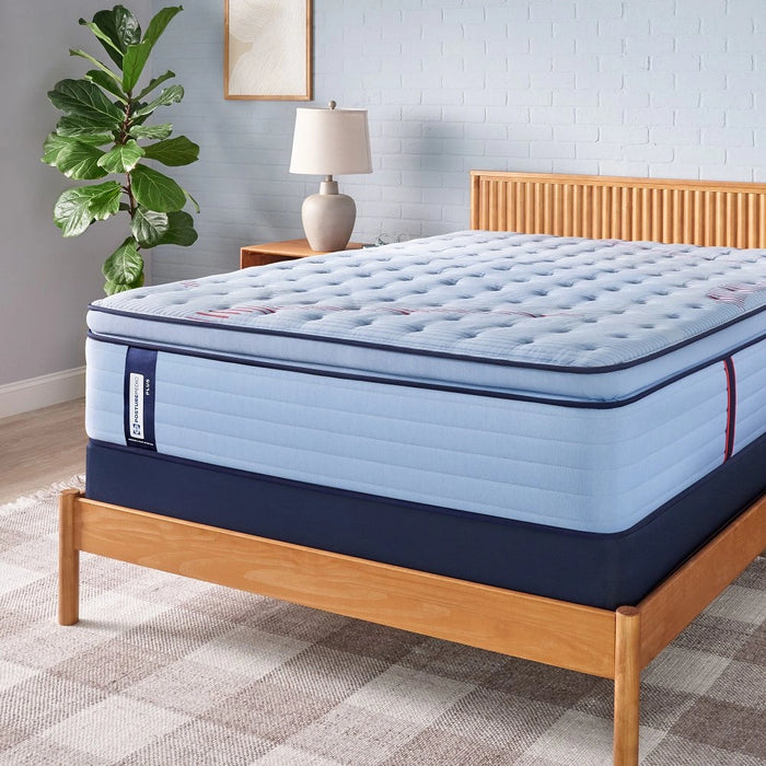 Equus Spring Mattress - Massey's Furniture Barn (Watertown, NY) 