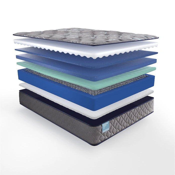 Sealy Remey Innerspring Mattress - Massey's Furniture Barn (Watertown, NY) 