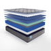 Sealy Remey Innerspring Mattress - Massey's Furniture Barn (Watertown, NY) 