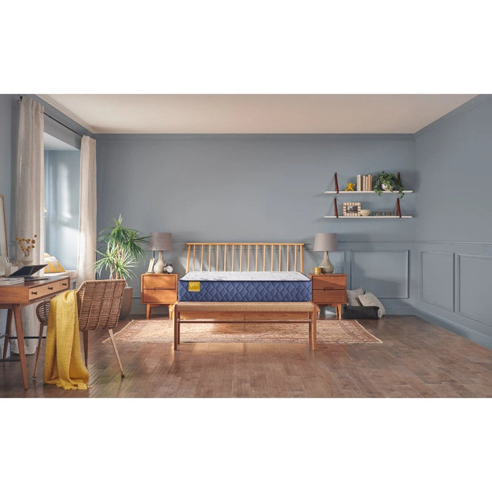 Palace Park Innerspring Mattress - Massey's Furniture Barn (Watertown, NY) 