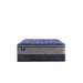 Sealy Eighth & Park Innerspring Mattress - Massey's Furniture Barn (Watertown, NY) 