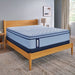 Jace Spring Mattress - Massey's Furniture Barn (Watertown, NY) 
