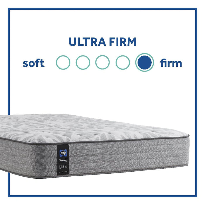 Lavina II Innerspring Mattress - Massey's Furniture Barn (Watertown, NY) 