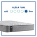 Lavina II Innerspring Mattress - Massey's Furniture Barn (Watertown, NY) 