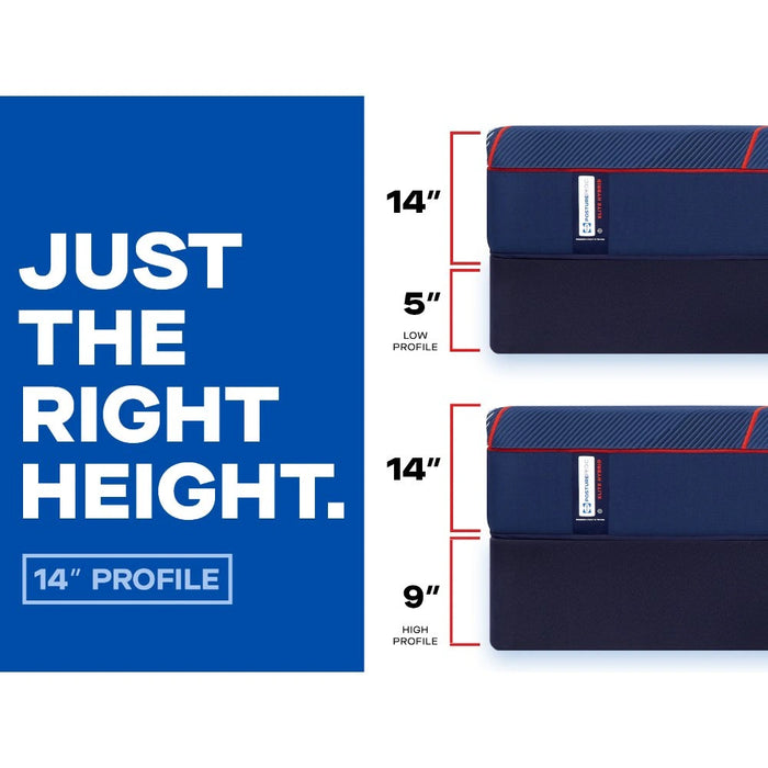 Sealy Brenham II Hybrid Mattress - Massey's Furniture Barn (Watertown, NY) 