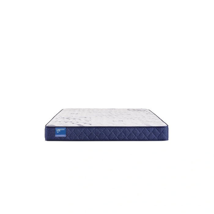Sealy Resting Manor Foam Mattress - Massey's Furniture Barn (Watertown, NY) 